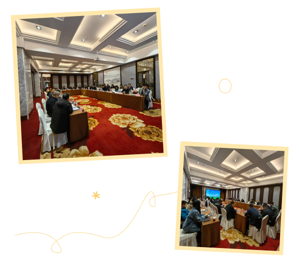 1743398466107311.png 1743398460509.png